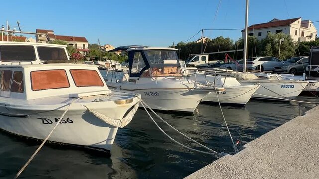 Enjoying boat rides in a marina with calm waters and clear skies in a coastal location during the early evening hours