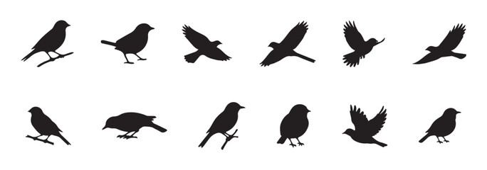 Fototapeta premium set of silhouettes of birds