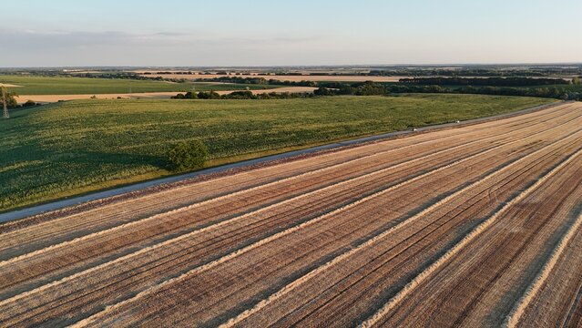 Drone view of harvested wheat fields at sunset near Baracs