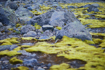 Fototapeta premium Majestic summer landscapes with cliffs and fields in Southern Iceland.