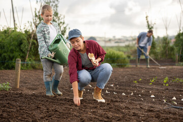 Obraz premium Farmer woman and her son plant seeds and garlic on the farm. Planting farm vegetables