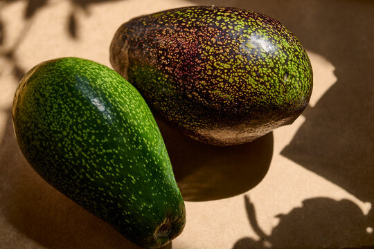 avocado, healthy, food, California, no people, green, brown, organic, homegrown,  copy