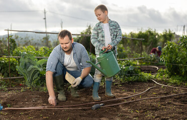 Obraz premium Farmer with son plant semen in cultivated land. Process of growing organically healthy vegetables and herbs on the farm. Season for planting seeds in the garden