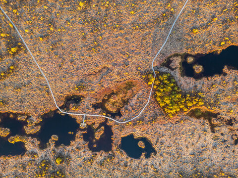 Aerial view of the boardwalk winding through the bog landscape of Soomaa National Park, featuring dark pools of water and golden autumn vegetation in Riisa, Parnu County, Estonia.