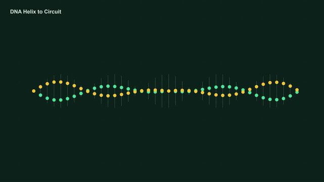 Dna helix morphing into digital circuit animation, abstract science and technology background genetics