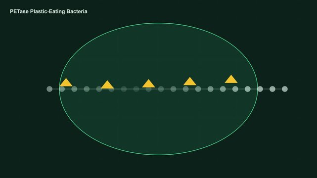 Pe tase plastic-eating bacteria animation: scientific process of enzyme degradation and molecular breakdown