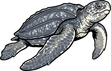 Fototapeta premium leather back sea turtle vector illustration isolated on white background