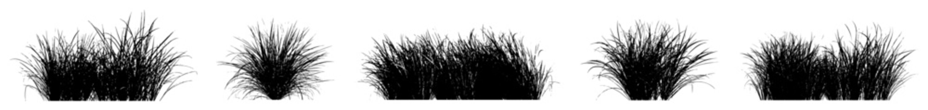 bunches of carex grass silhouettes (sedge, ornamental grass, cyperaceae) isolated premium vector image, black shapes