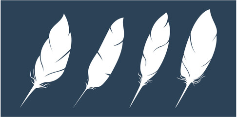 bird feather icon © Adel