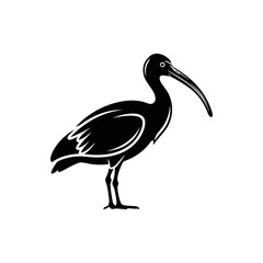 Fototapeta premium Black silhouette of an ibis bird with a long curved beak, isolated on white background.