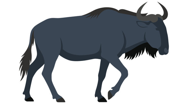 Wildebeest gnu standing profile illustration on white background.
