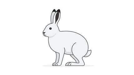 White rabbit or hare sitting in profile view. © Noemi