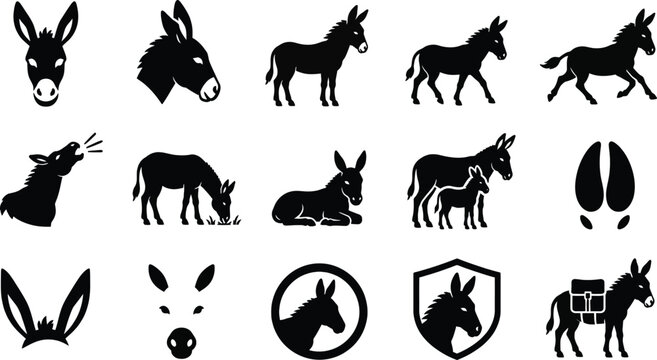 A collection of black vector donkey silhouette icons featuring various poses and activities for professional graphic design and branding projects