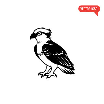 Osprey Bird Silhouette Vector Icon