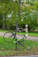 Fototapeta premium Seasonal Halloween Decoration Featuring Human Skeleton And Classic Bicycle In Park