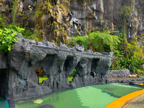 Inactive artificial rock waterfall feature over a green swimming pool set against a natural cliff with lush tropical foliage