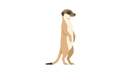 Meerkat standing upright looking alert on white background © Syamsul