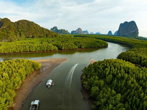 Amazing abundant mangrove forest, Aerial view of forest trees Rainforest ecosystem and healthy environment background, Texture of green trees forest top down, High angle view