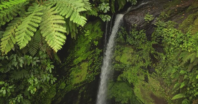 Drone view panorama capturing a powerful waterfall cascading down lush, moss-covered rock face, surrounded by dense tropical foliage and ferns, impacting into dark pool below. Explore Solomon Islands