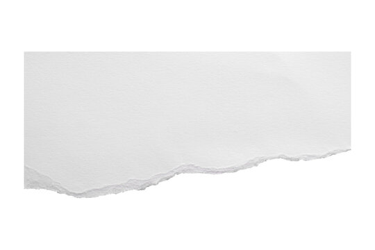 Landscape white torn paper sheet with rising ripped bottom edge on transparent background