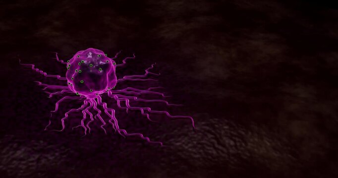 Cancer Microenvironment Showing Neovascularization Around Aggressive Tumor Cell During Angiogenesis and Progressive Tissue Invasion 3D Rendering
