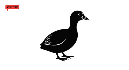 Obraz premium Black silhouette of a duck on a white background, vector illustration