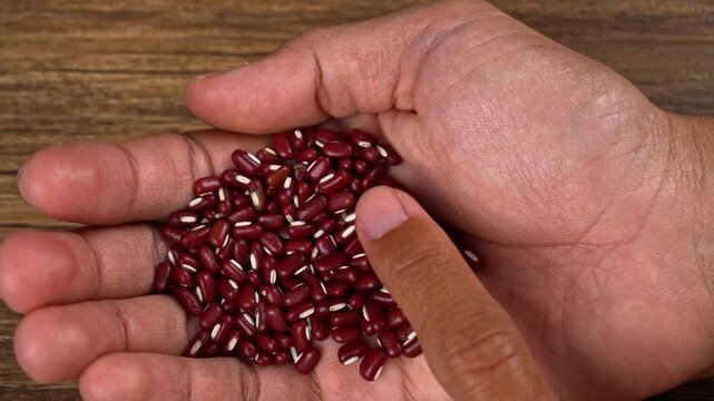Hand holding and inspecting the quality of raw red beans on a wooden background