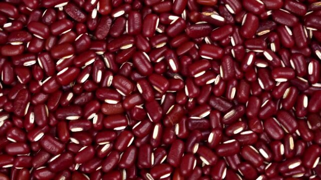 Slow diagonal tracking shot macro close up of red beans texture