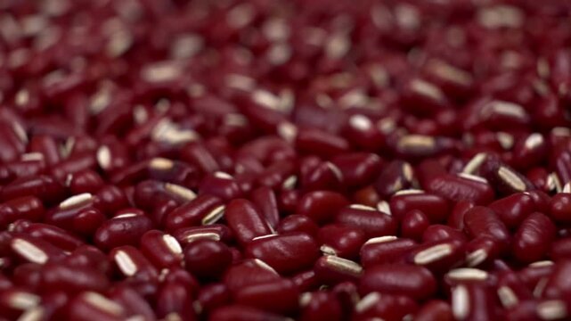 Tracking macro close up of raw red beans food texture