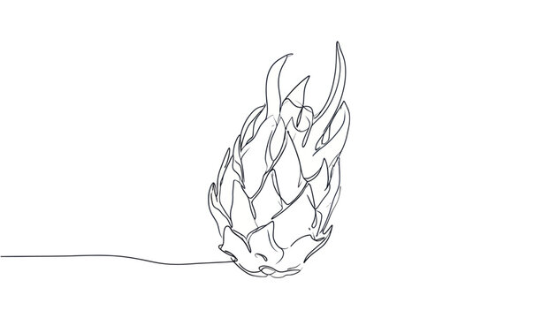 Minimalist continuous line drawing of a dragon fruit
