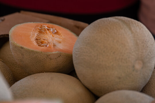 Melons, a bulk supply of sweet, large, round tropical fruit. The true melon has a ribbed rind, with a netted yellow and green color. Known as rockmelon or muskmelon and are sold in grocery stores and 