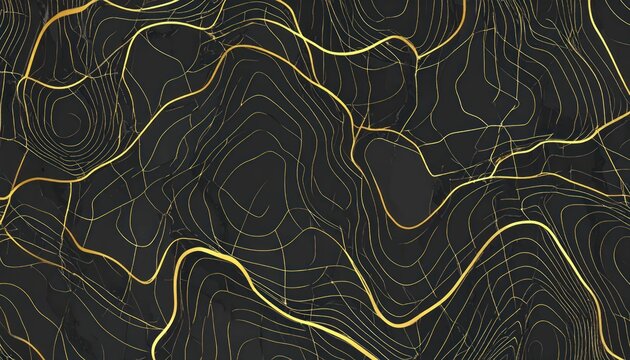 Abstract gold topographic map lines on dark background.
