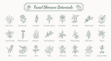 Facial Skincare Botanicals Line Art Icons Collection © Liudmyla Klymenko