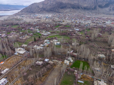 Aerial view of Katpanah Lake surrounded by lush green fields, tall poplar trees, and residential buildings in Skardu, Gilgit Baltistan, Pakistan.