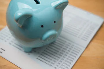 Closeup blue piggy bank on savings deposit account book bank background. Personal financial management, financial literacy, retirement planning, save money for future and so on concept. © pla2na