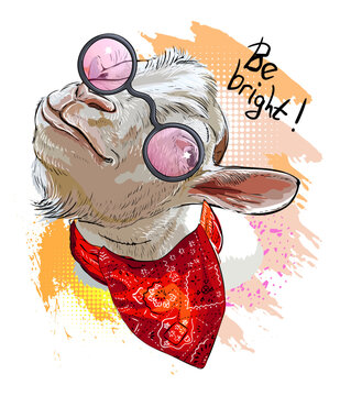 Funny close up goat in pink glasses and bandana design vector illustration