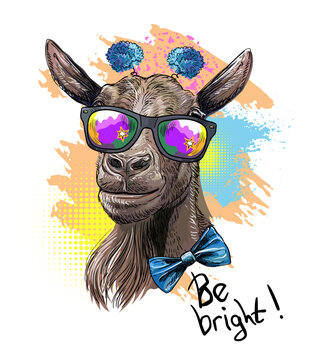 Cool funny goat in sunglasses design vector illustration