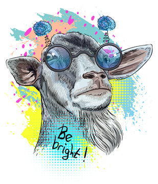Cool close up goat in funny glasses design vector illustration