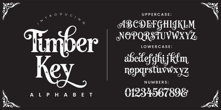 Timber Key decorative vintage fairytale display font with decorative curls and distressed wood texture