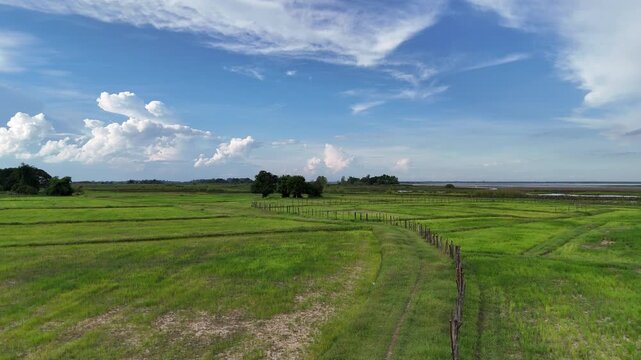 Scenic landscape of green rice fields with a wooden fence leading to Nong Han lake under a blue sky.