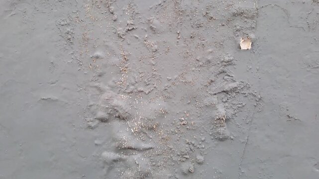 Cracked exterior house wall with mold, grass, and exposed white brick. Damaged plaster texture outdoor. Building deterioration stock video 4K for inspection, construction, repair, maintenance, real es