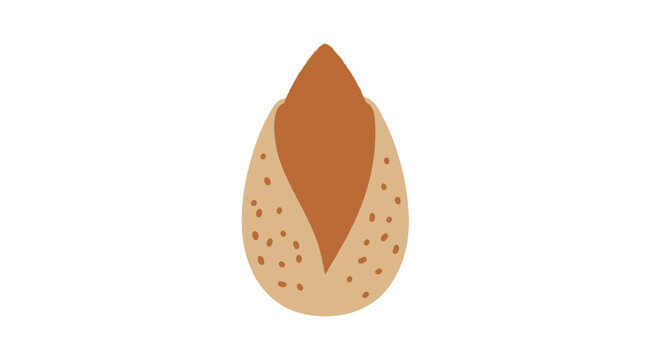 Vector illustration of a single almond in cracked shell.