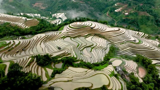 Hmong farmers prepare their fields and plant rice on terraced fields . Photo taken in Tuyen Quang on June 20, 2026
