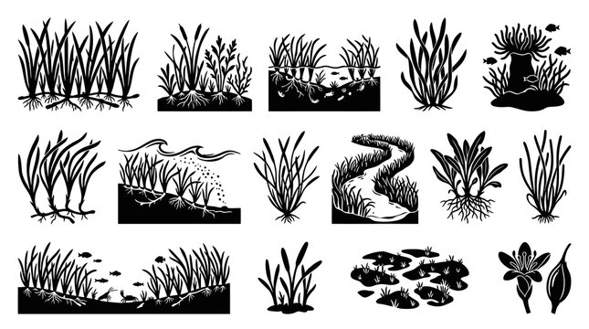 Seagrass and Aquatic Plants Glyph Vector Icons Set. Marine Ecosystem and Freshwater Flora Silhouettes.