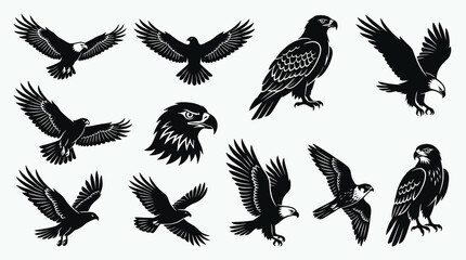 Obraz premium Majestic Wildlife Eagle and Falcon Glyph Icons Set - Black and White Nature Heraldry Vector Collection