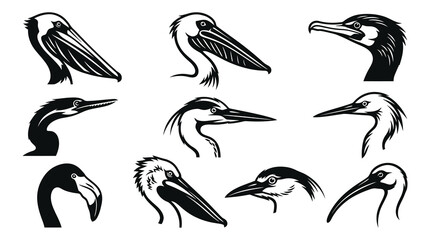 Obraz premium Black and White Line Art Collection of Bird Heads, Vector Graphics