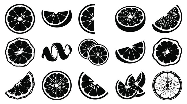Black and White Line Art Citrus Fruit Slices and Peels, Food Vector