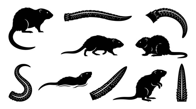 Wildlife Rodent Black and White Silhouette Vector Set with Rats, Beavers, Nutrias, and Stylized Tails Glyph Art