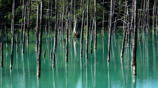 青い池