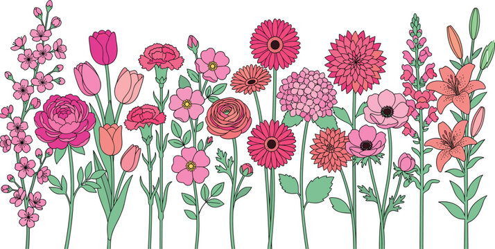 Beautiful pink spring garden flowers border vector illustration set featuring hand drawn tulips lilies ranunculus gerbera and hydrangea blossoms